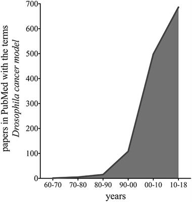 Drosophila melanogaster: A Model Organism to Study Cancer